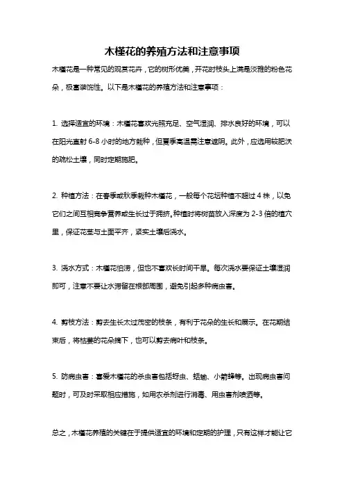 木槿花的养殖方法和注意事项