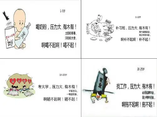 压力的影响PPT