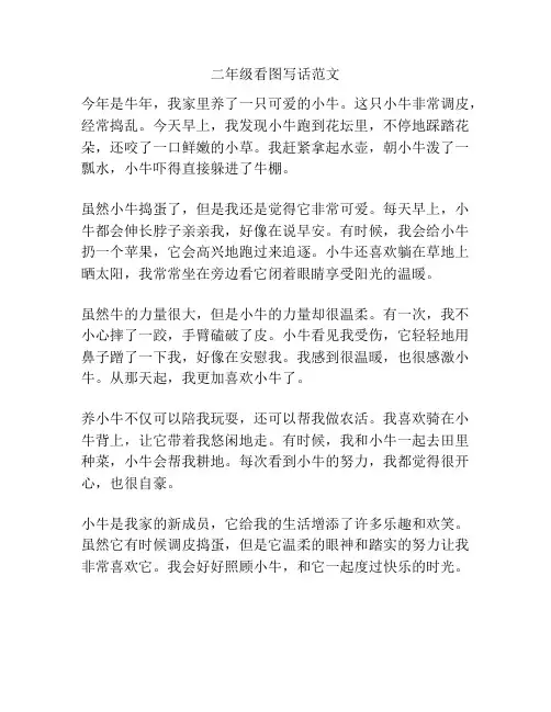 二年级看图写话范文
