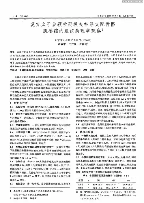 复方太子参颗粒延缓失神经支配骨骼肌萎缩的组织病理学观察