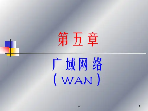 《广域网络WAN》PPT课件