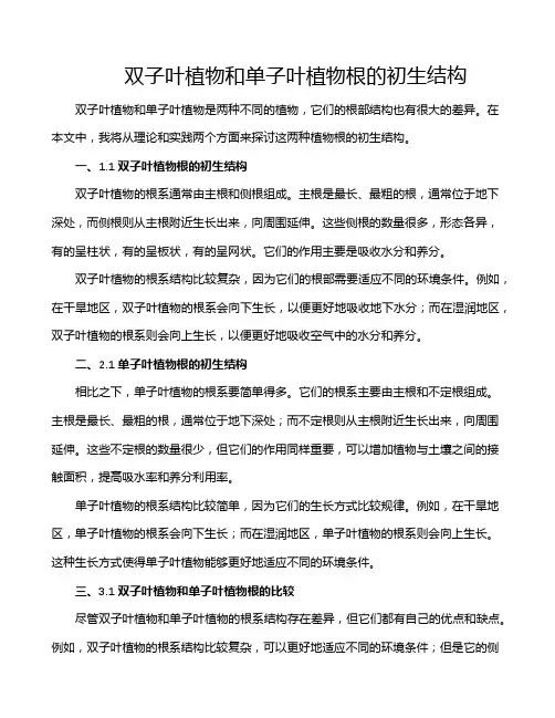 双子叶植物和单子叶植物根的初生结构