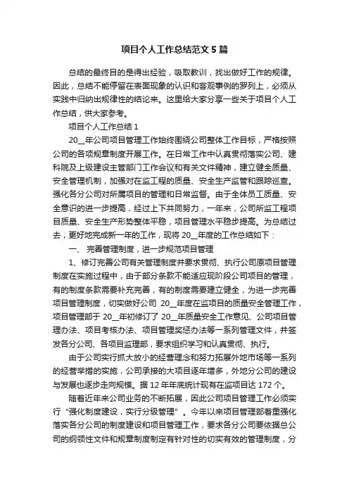 项目个人工作总结范文5篇