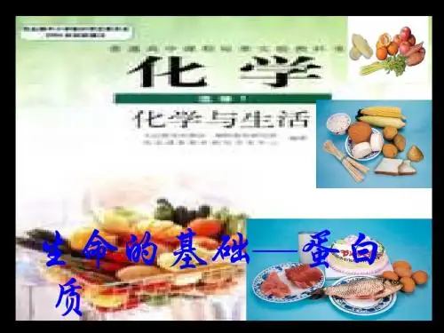 化学课件《生命的基础——蛋白质》优秀ppt4 人教课标版