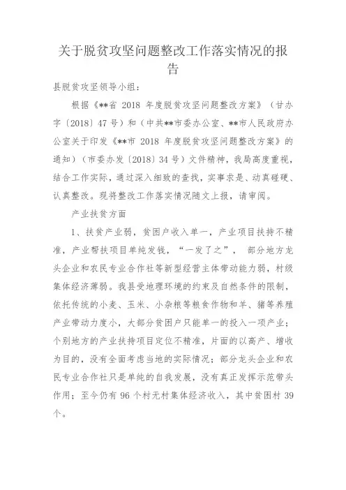 关于脱贫攻坚问题整改工作落实情况的报告