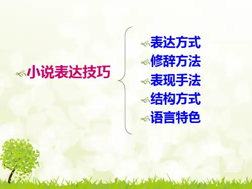 小说表达技巧赏析ppt课件