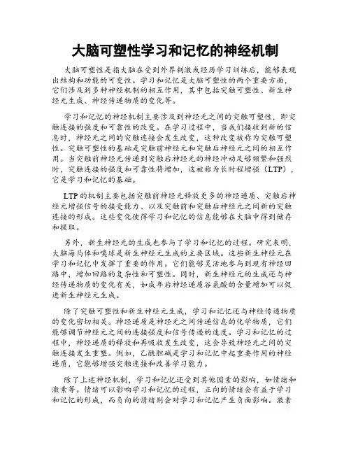 大脑可塑性学习和记忆的神经机制