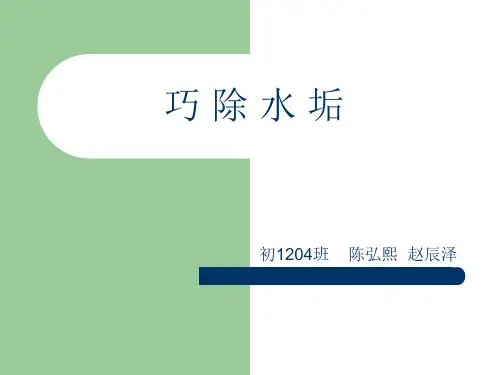 巧除水垢资料重点