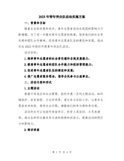 2023年青年突击队活动实施方案