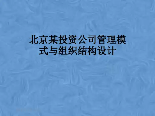 北京某投资公司管理模式与组织结构设计