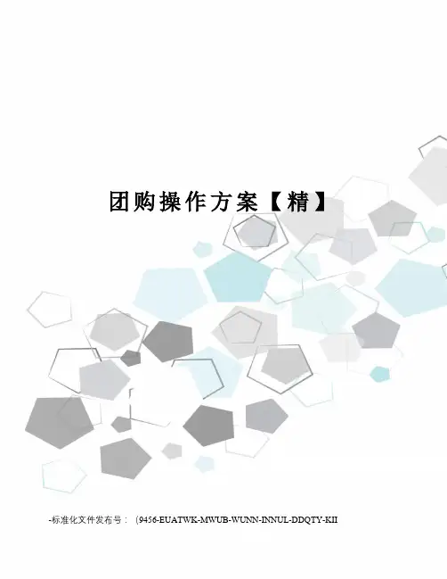 团购操作方案【精】
