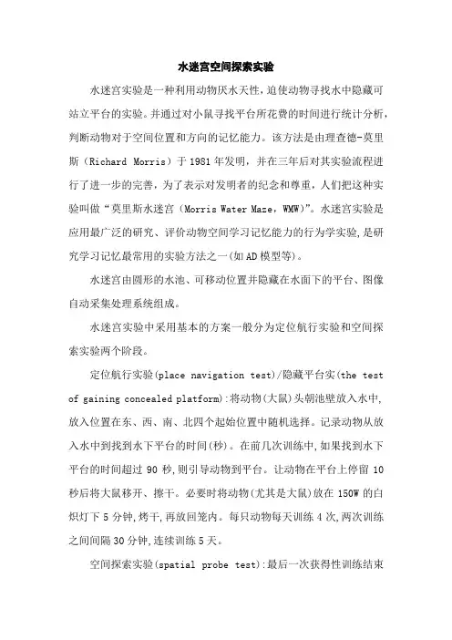 水迷宫空间探索实验