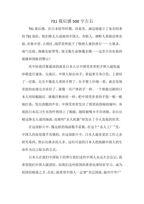 731观后感500字左右
