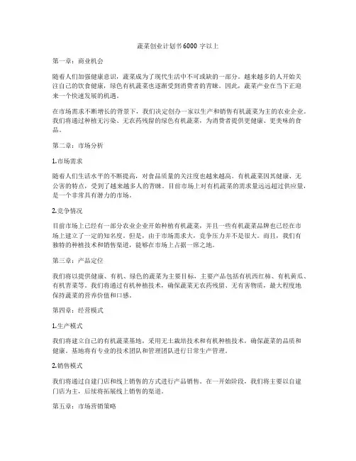 蔬菜创业计划书6000字以上