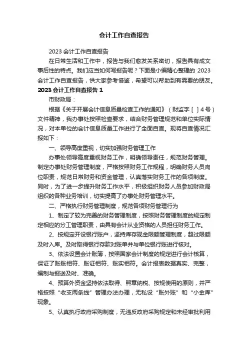 2023会计工作自查报告