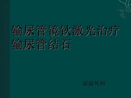 输尿管镜钬激光治疗输尿管结石PPT课件