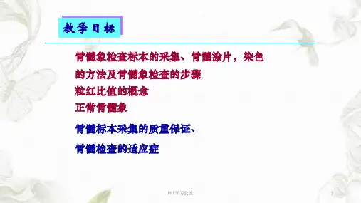 骨髓象检查4精品版课件