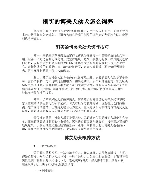 刚买的博美犬幼犬怎么饲养