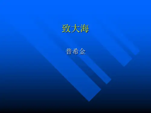 普希金简介.