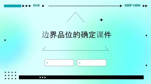 边界品位的确定课件