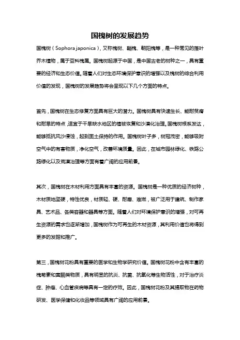 国槐树的发展趋势