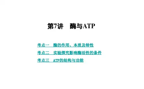高三生物复习课件精品 第7讲 酶与ATP