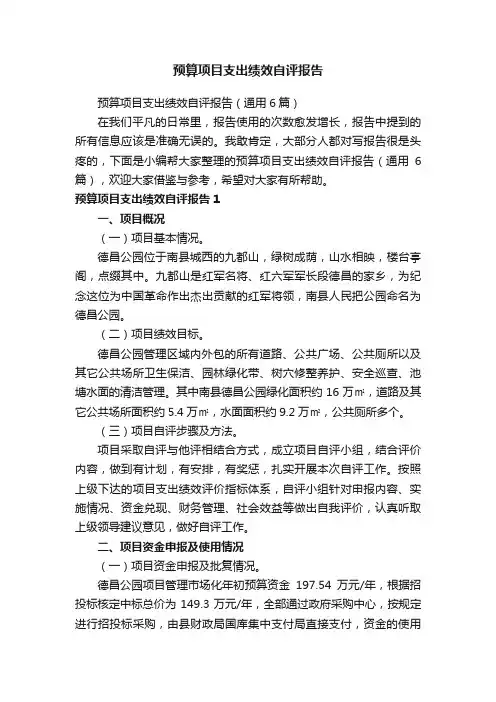 预算项目支出绩效自评报告（通用6篇）