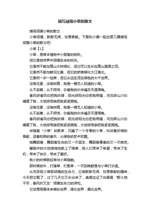 描写顽强小草的散文