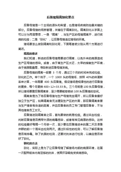 后备猪隔离驯化要点