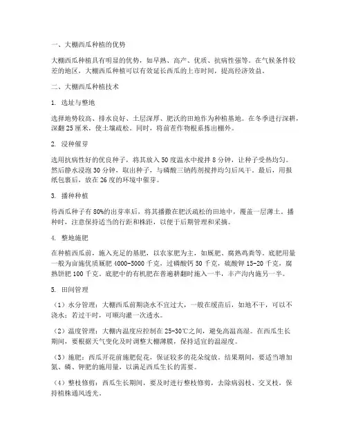 种植大棚西瓜技术