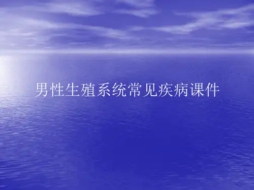 男性生殖系统常见疾病PPT讲稿