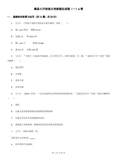 雄县小升初语文考前强化试卷(一)A卷