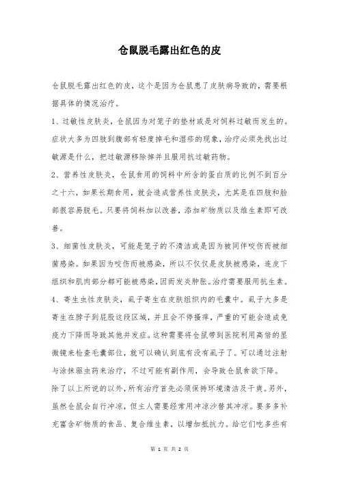 仓鼠脱毛露出红色的皮