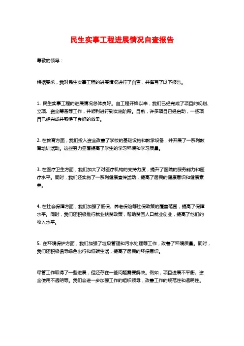 民生实事工程进展情况自查报告