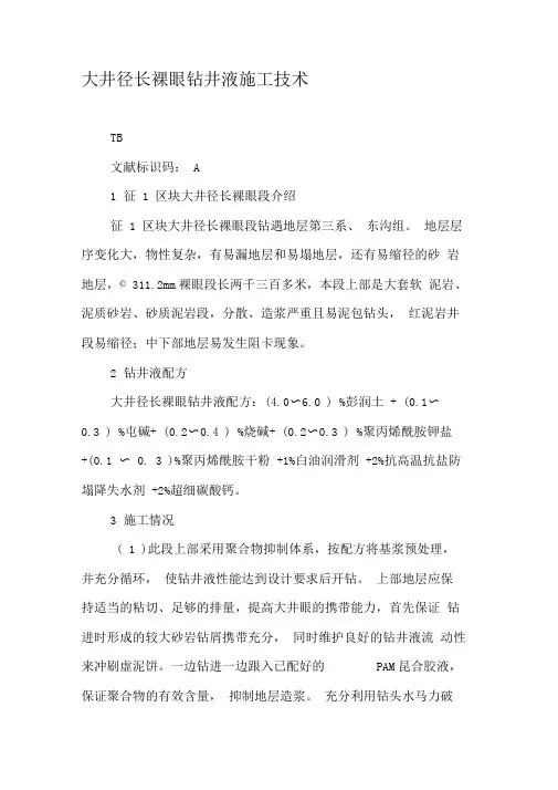 大井径长裸眼钻井液施工技术