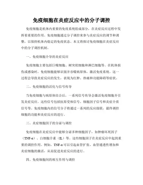 免疫细胞在炎症反应中的分子调控