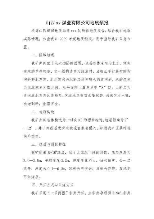 山西xx煤业有限公司地质预报