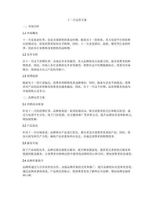 十一月运营方案