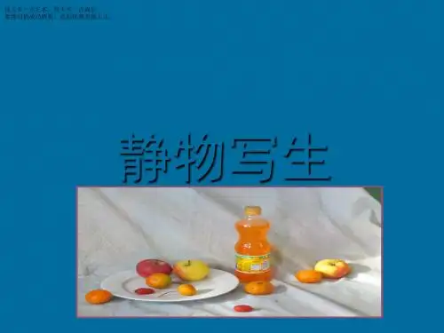 五年级下册美术课件-5《静物写生》 人教新课标 