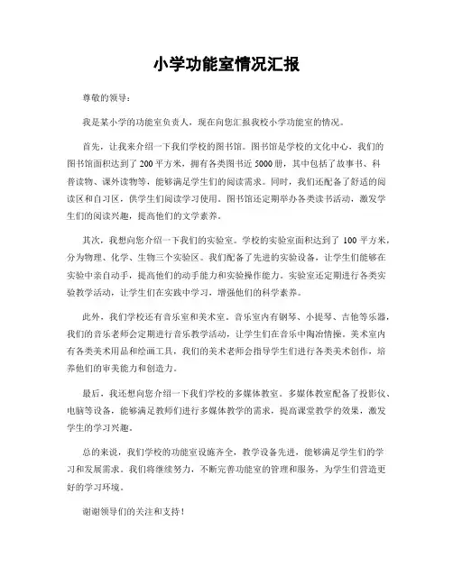 小学功能室情况汇报