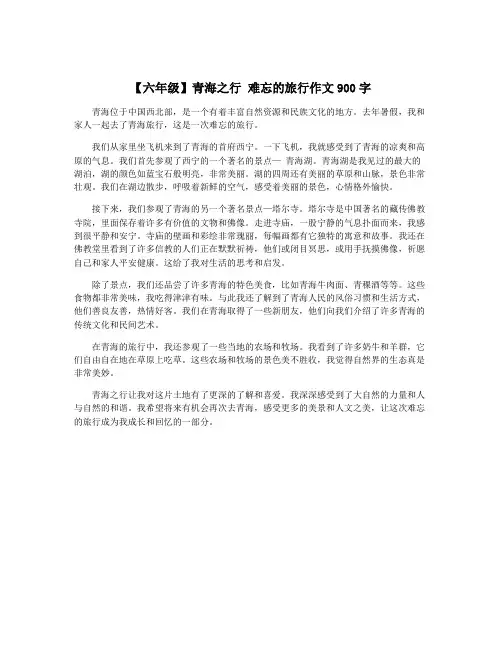 【六年级】青海之行 难忘的旅行作文900字