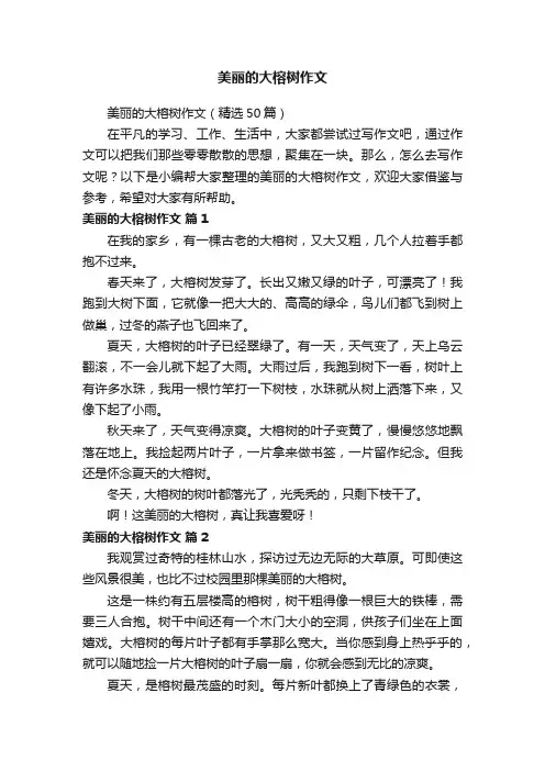 美丽的大榕树作文（精选50篇）