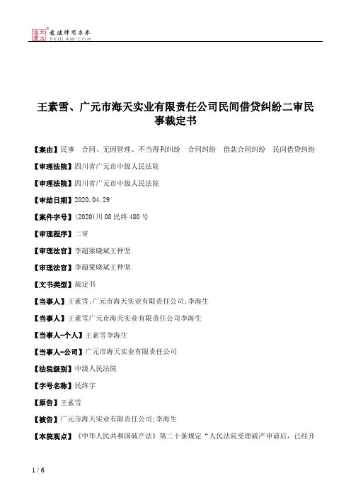 王素雪、广元市海天实业有限责任公司民间借贷纠纷二审民事裁定书