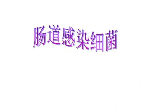 肠道感染细菌