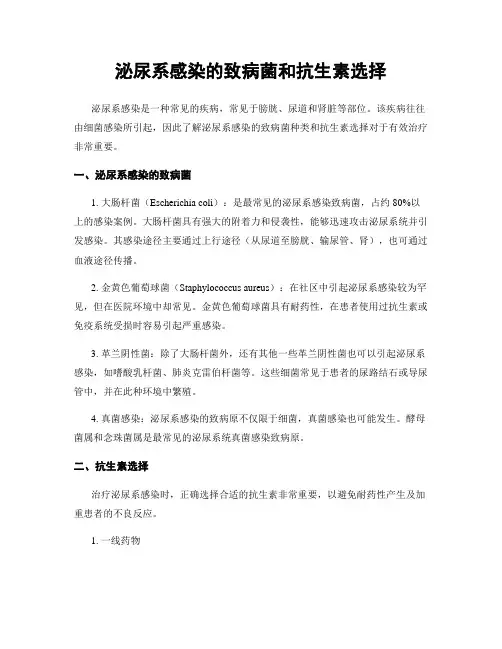 泌尿系感染的致病菌和抗生素选择