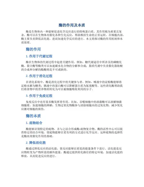 酶的作用及本质