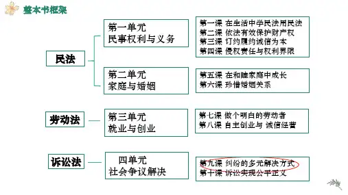 解析三大诉讼(课件)高二政治(统编版选择性必修2) (2)