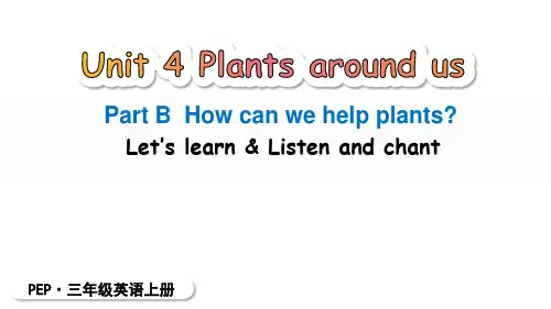 24年人教三年级英语上册Unit4 Plants around us B Let's learn课件