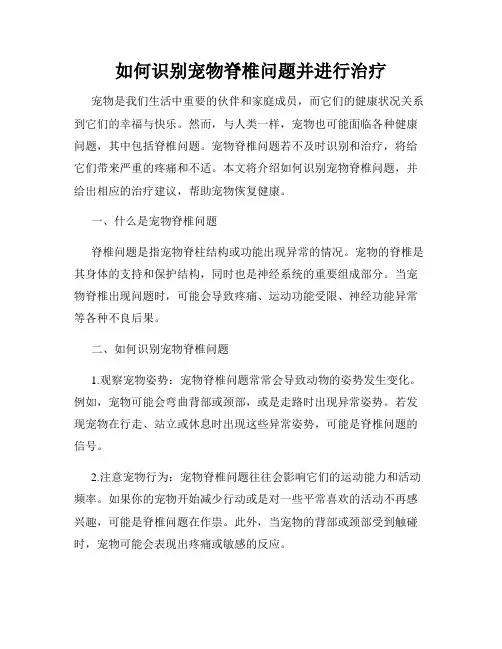 如何识别宠物脊椎问题并进行治疗