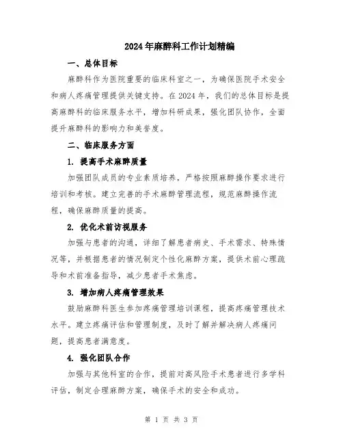 2024年麻醉科工作计划精编